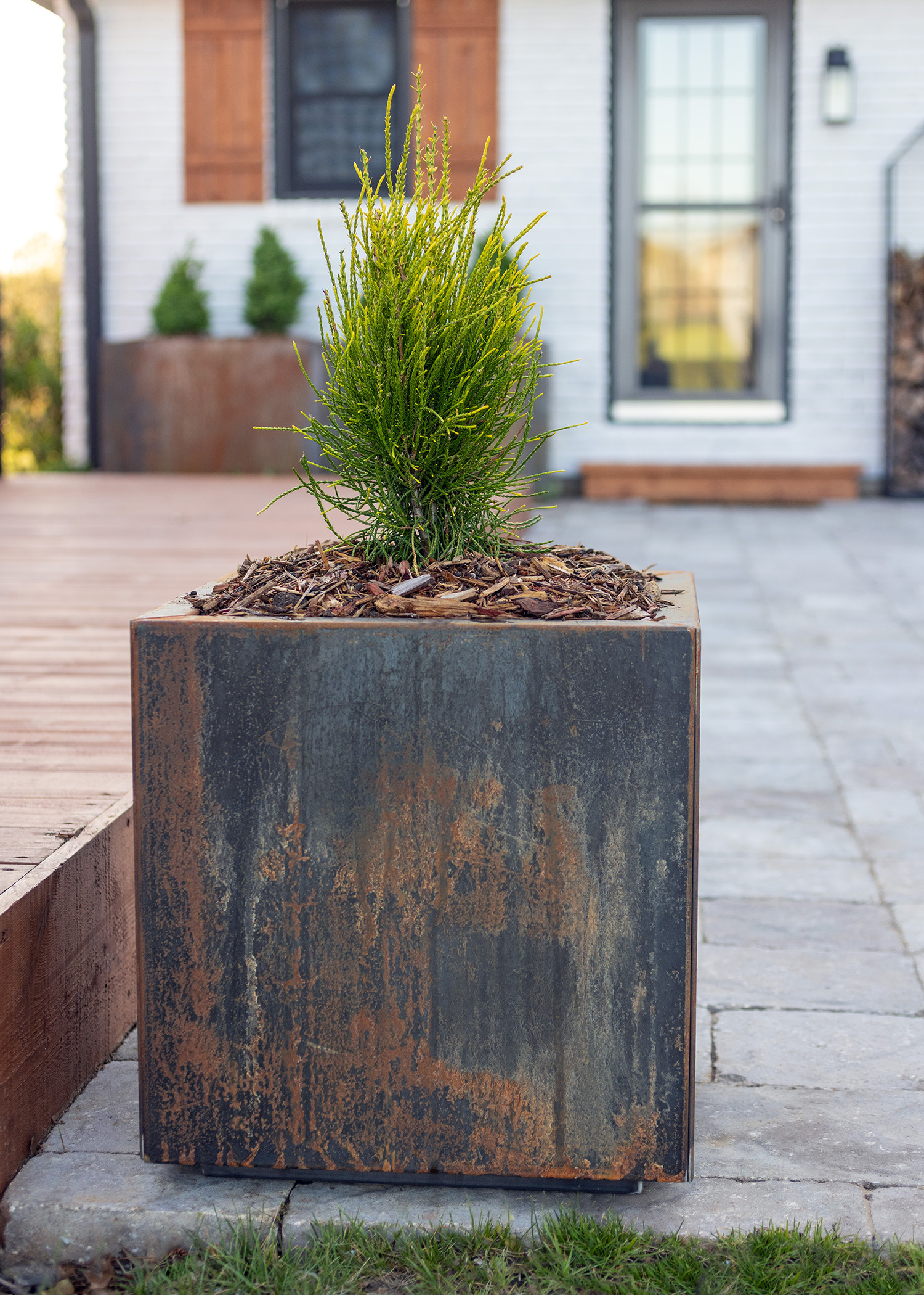 Corten Steel Rust Planter Boxes | Evergreen