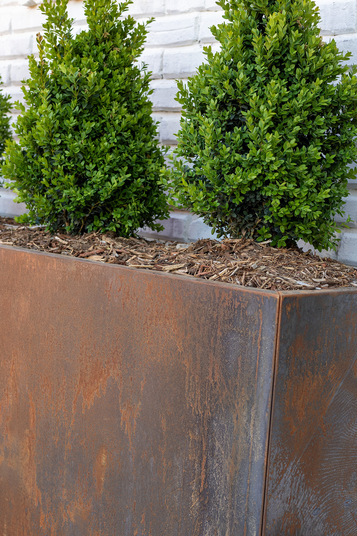 Rusted Corten Steel Planter