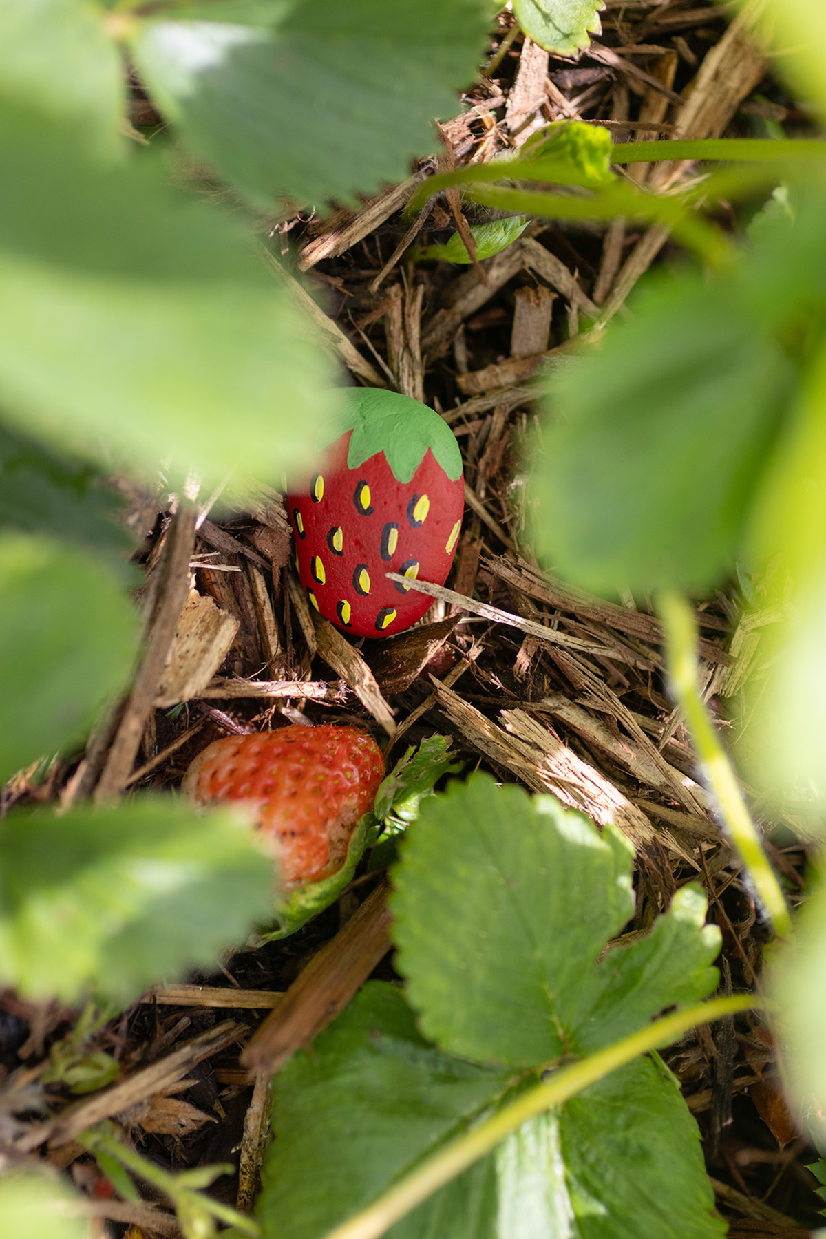 DIY Painted Rock Strawberries Bird Decoy