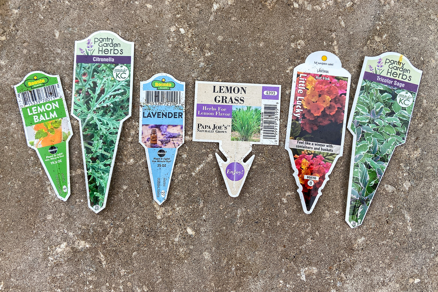 Mosquito Repelling Plant Tags
