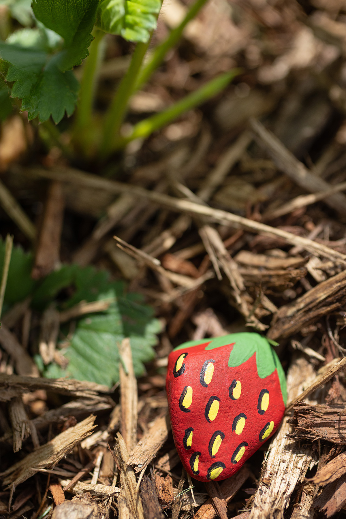 Painted Rock Strawberries DIY