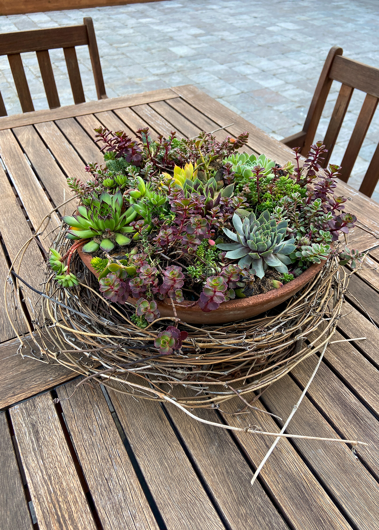 Succulent Terracotta Planter